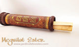 Illustrated Megilat Esther