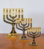 Menorah Shivtei Israel