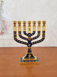 Menorah Shivtei Israel