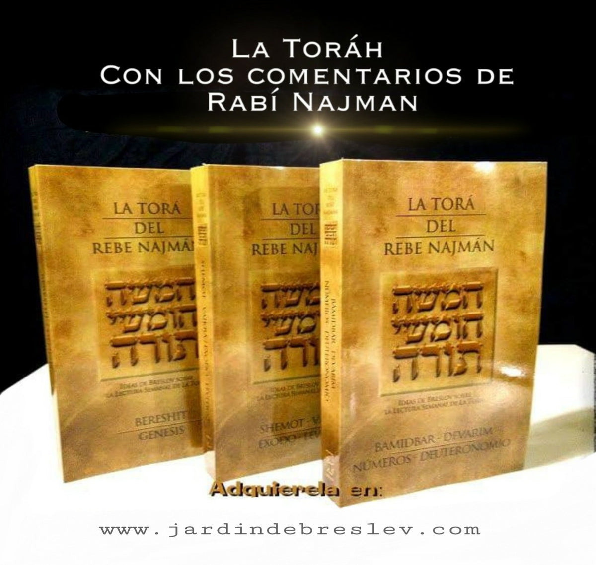 La Torá del Rebe Najman – El Jardín De Breslev