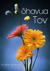 Havdalah, bidding farewell to Shabbat