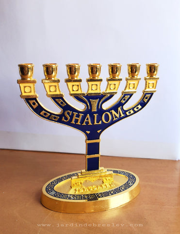 Menorah Shalom
